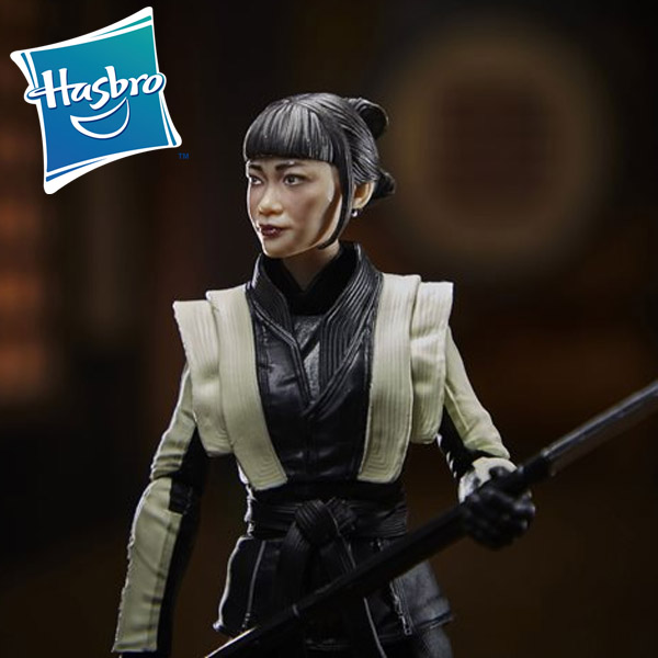Hasbro Snake Eyes GI Joe Origins Classified Series Akiko Figure